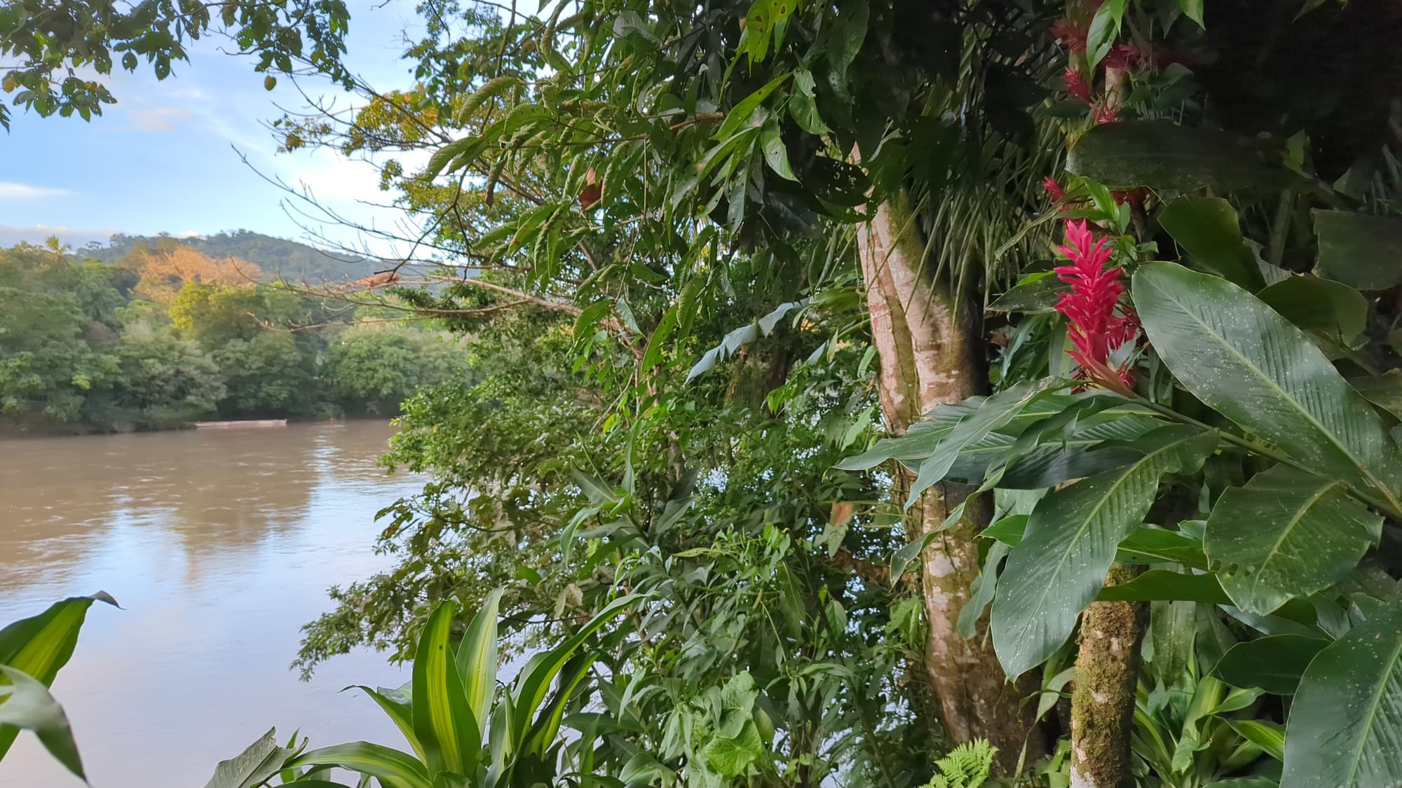 Von der Karibikküste in den Norden