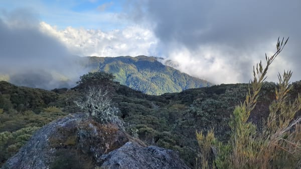 Von 0 auf 3400hm zum Cerro de la Muerte