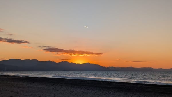 Heimreise